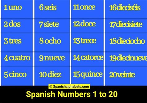 how to spell 20 in spanish|A Beginner’s Guide to Spanish Numbers 1 to 20 .